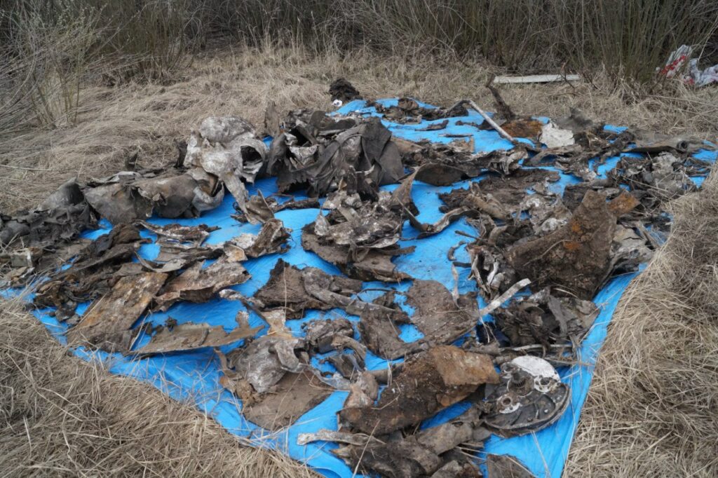 Фрагменты ИЛ-2 пилота Черкасского на месте раскопок под Самарой